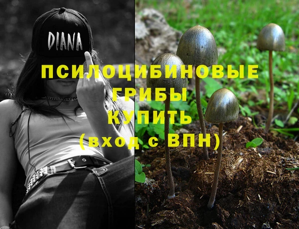 бошки Гусев