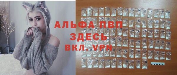 бошки Гусев