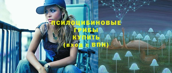 мескалин Гусь-Хрустальный