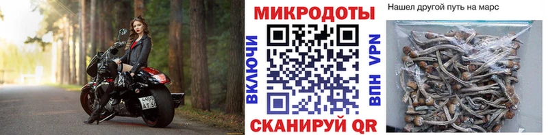 ссылка на мегу ССЫЛКА  Калининец  Галлюциногенные грибы Cubensis 